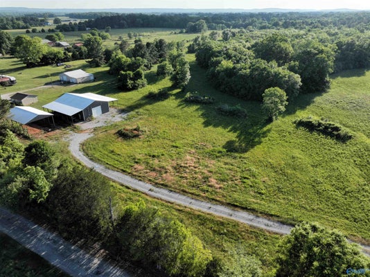 79 COUNTY RD 110, MOULTON, AL 35650 - Image c519ca48a3651cbf8bf56b2631e97a9d/881150101