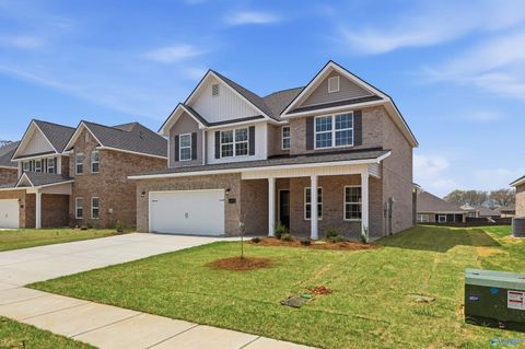 Homes For Sale - 156 Rose Valley Drive<br/> New Market, AL 35761