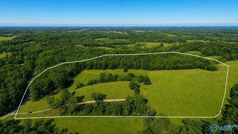 Vacant Land For Sale - 5221 County Road 50<br/> Lauderdale County, Lexington, AL 35648
