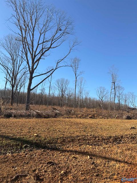 Vacant Land For Sale - LOT 9 County Road 641<br/> Mentone, AL 35984