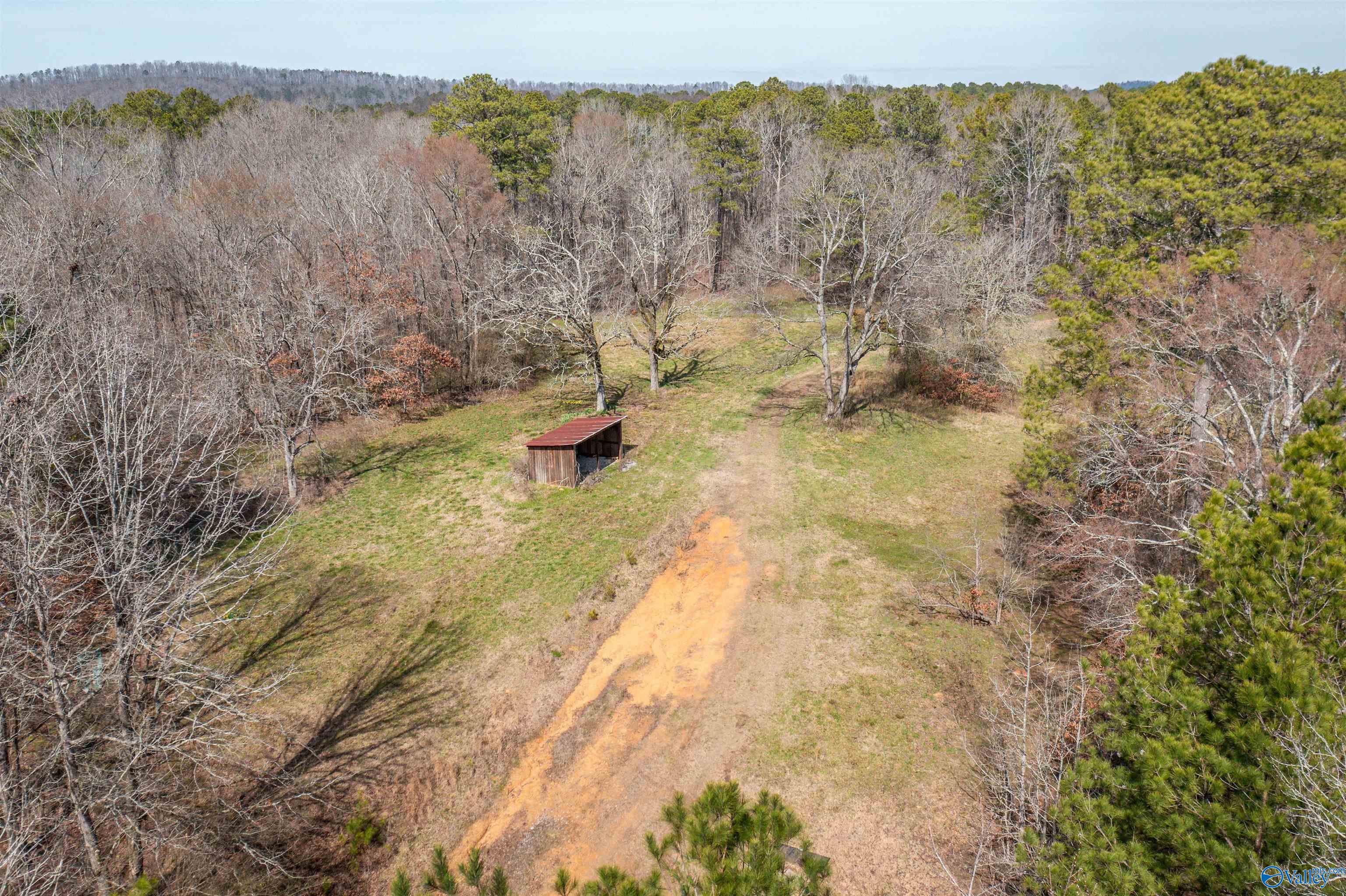 329 +/- Acres Ragan Chapel Road, Ohatchee, Alabama image 16