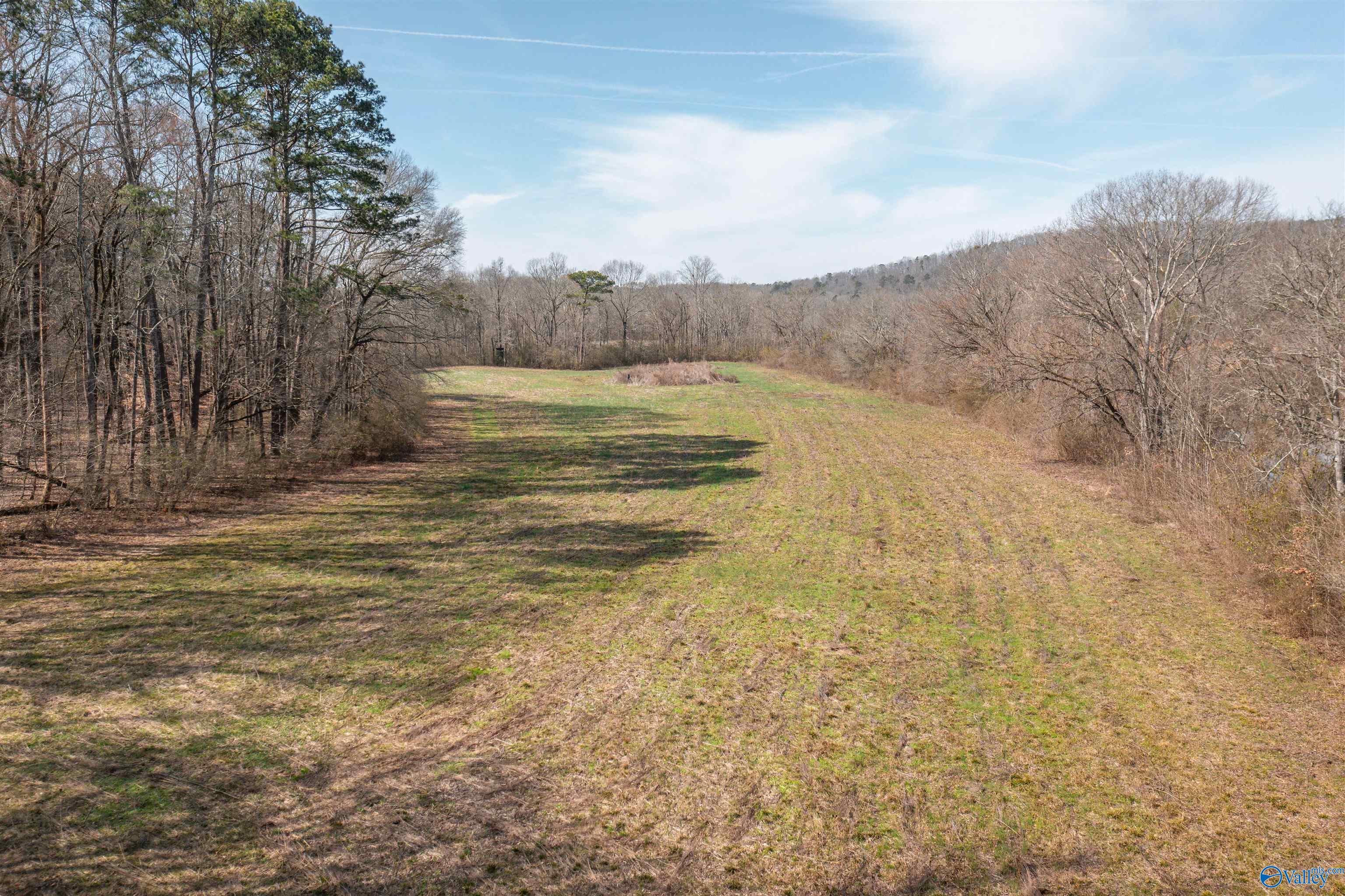 329 +/- Acres Ragan Chapel Road, Ohatchee, Alabama image 28