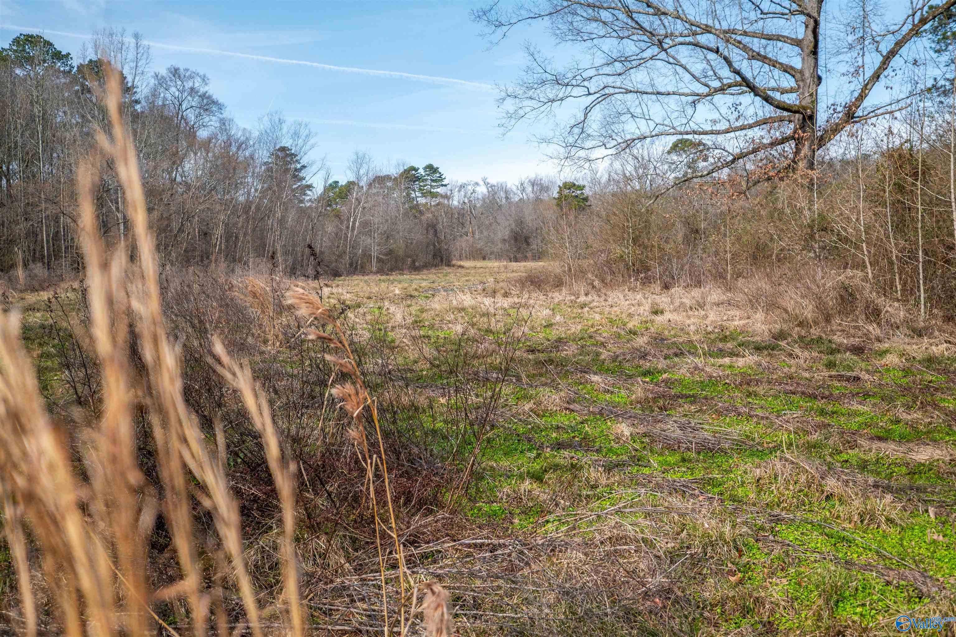 329 +/- Acres Ragan Chapel Road, Ohatchee, Alabama image 38