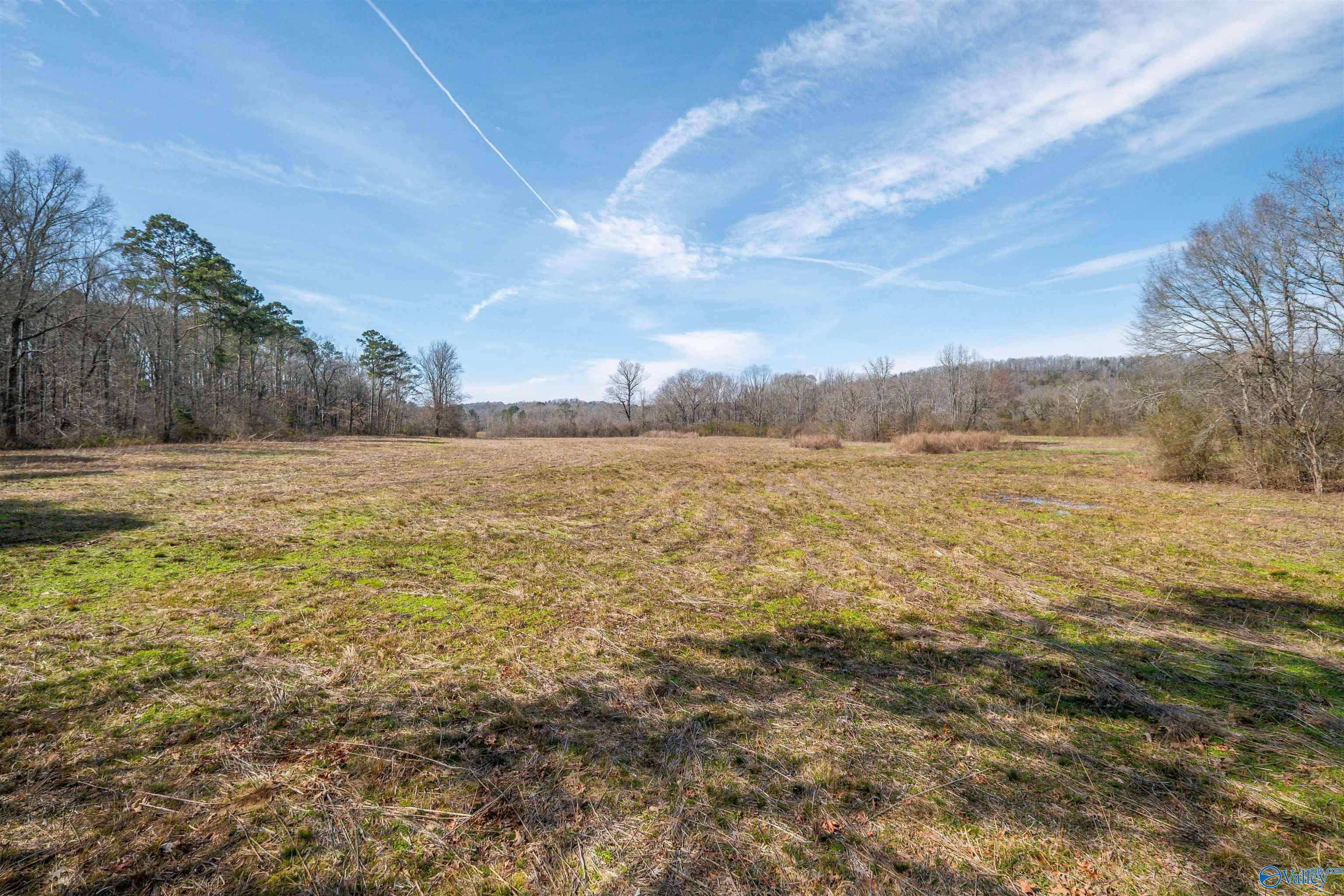 329 +/- Acres Ragan Chapel Road, Ohatchee, Alabama image 35