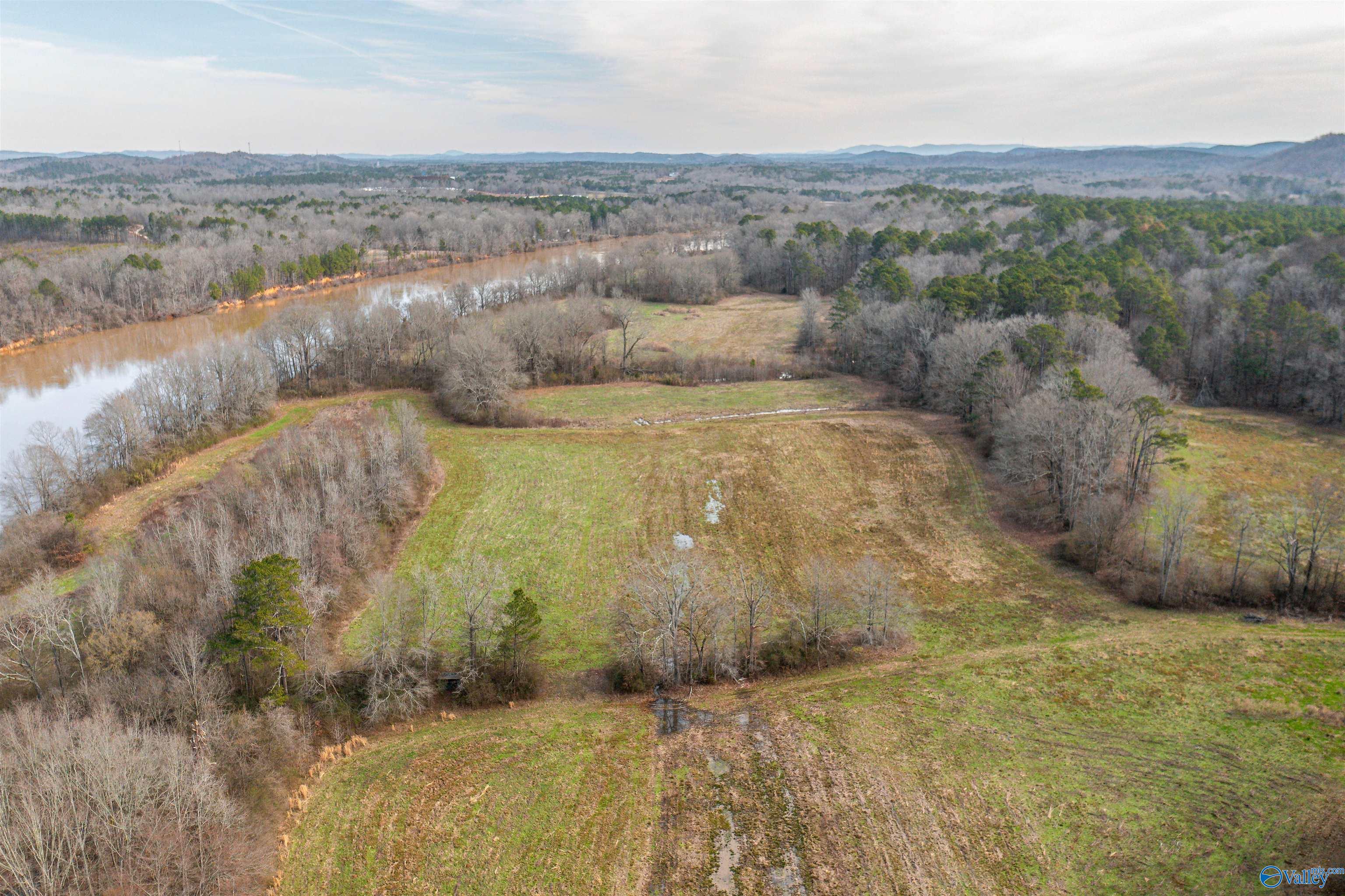 329 +/- Acres Ragan Chapel Road, Ohatchee, Alabama image 9