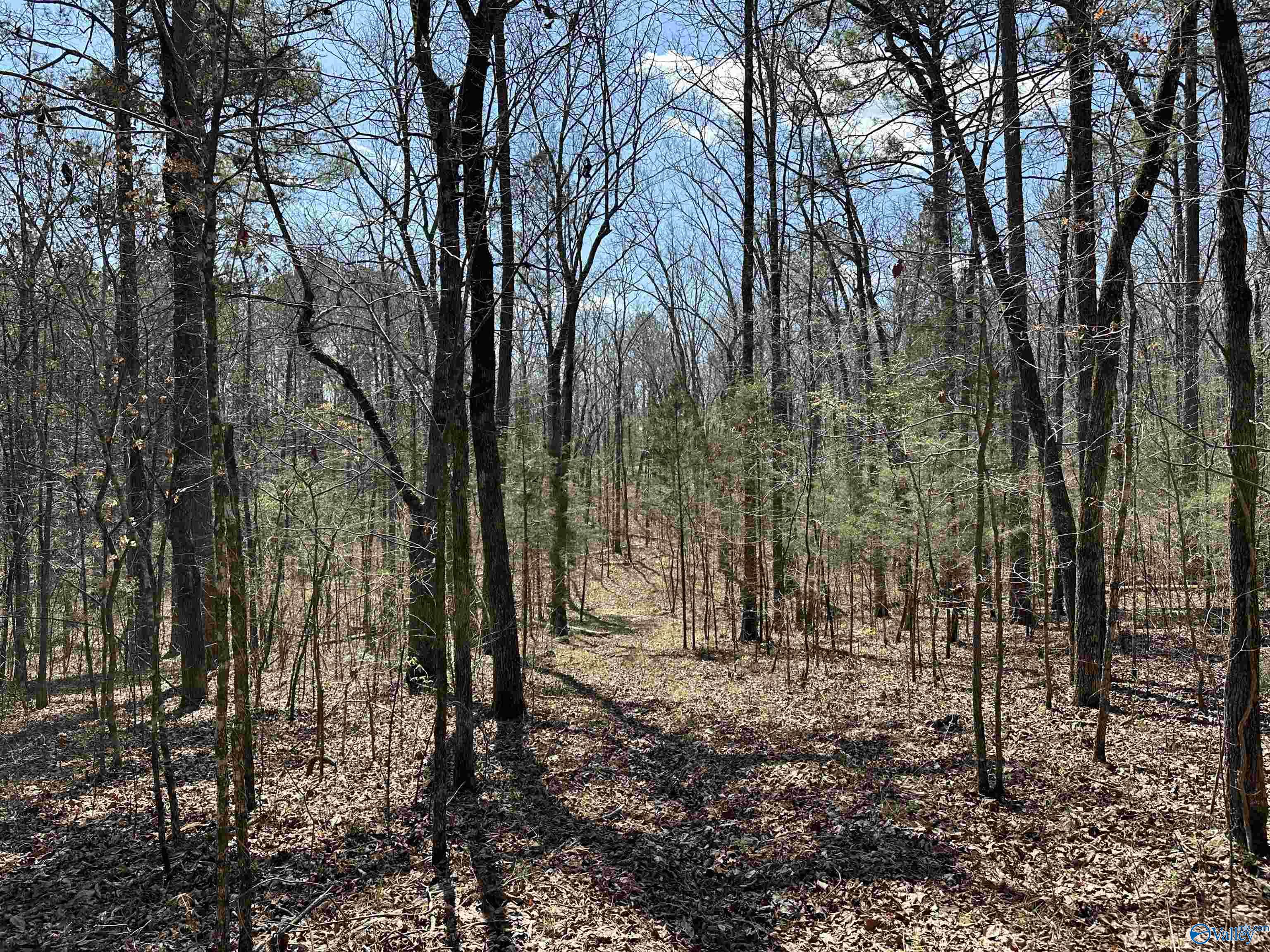 329 +/- Acres Ragan Chapel Road, Ohatchee, Alabama image 33