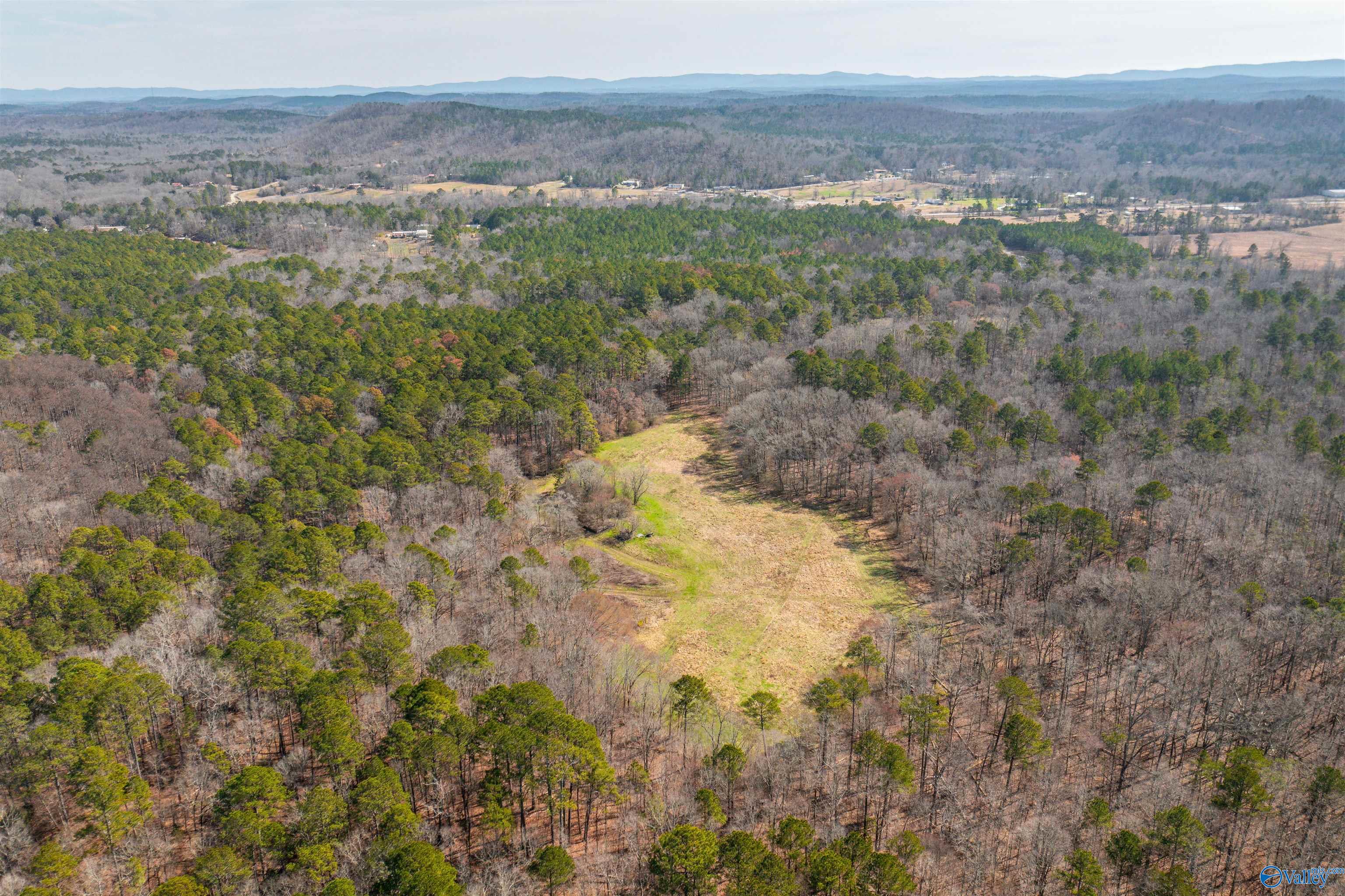 329 +/- Acres Ragan Chapel Road, Ohatchee, Alabama image 23