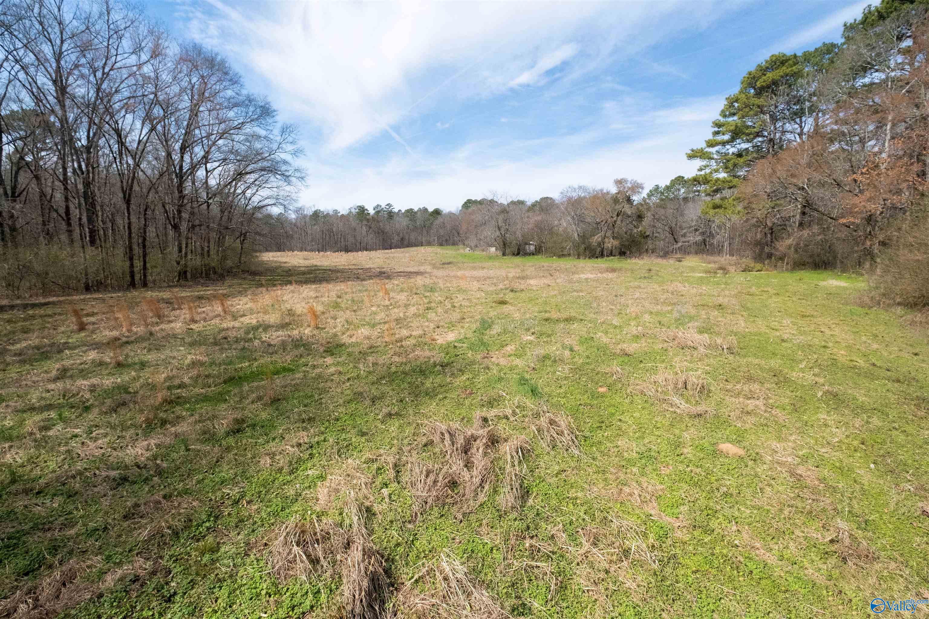 329 +/- Acres Ragan Chapel Road, Ohatchee, Alabama image 10