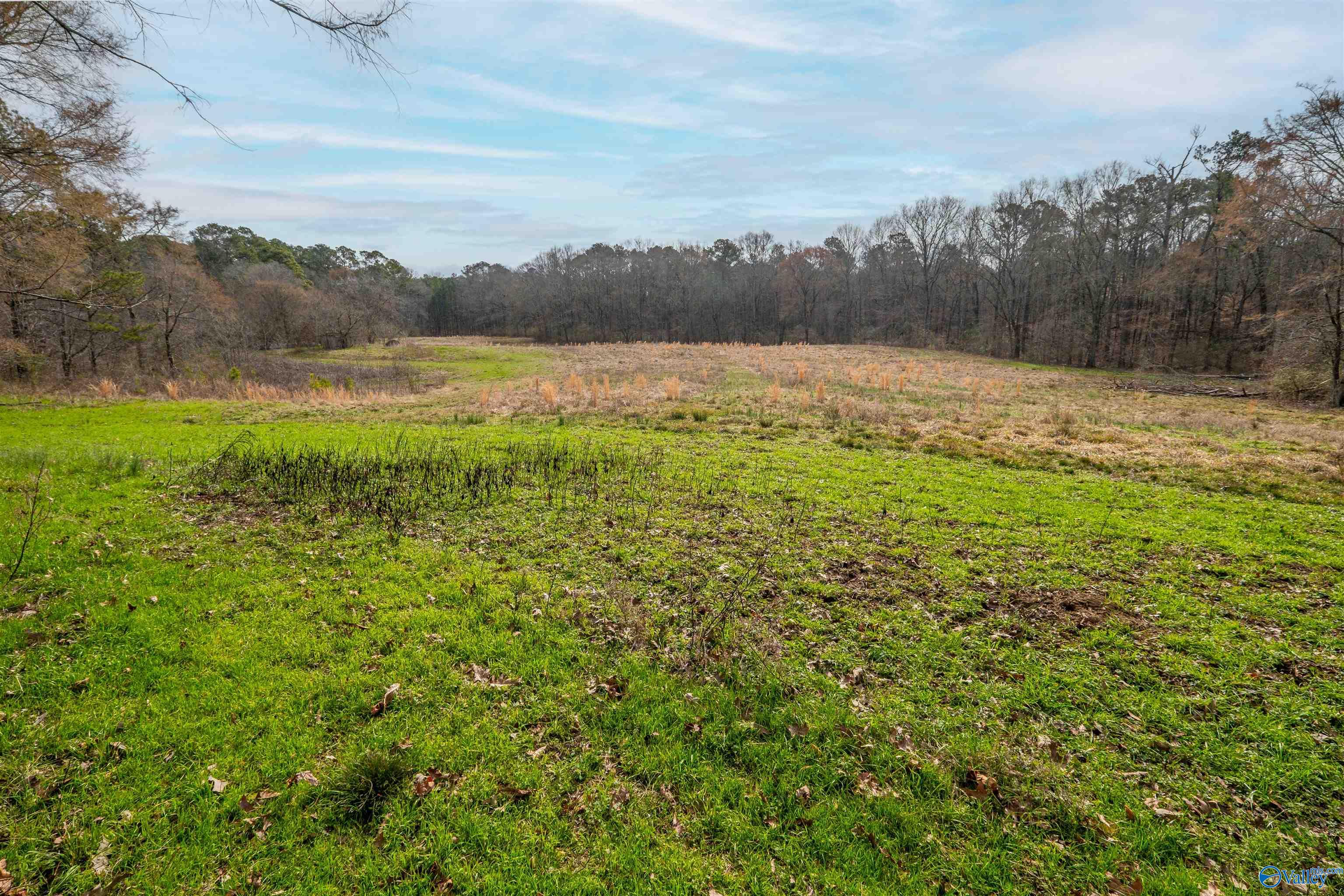 329 +/- Acres Ragan Chapel Road, Ohatchee, Alabama image 24