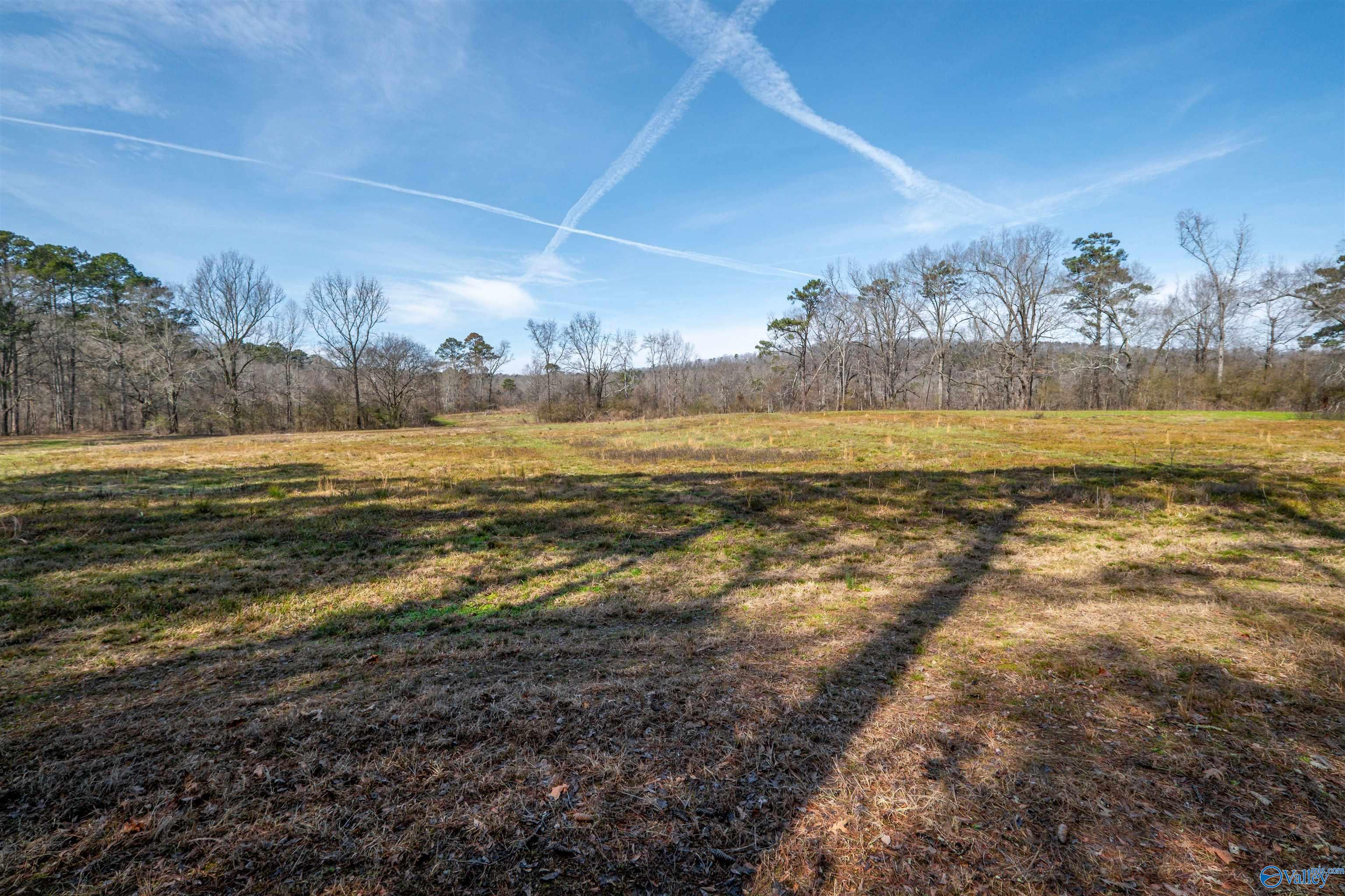 329 +/- Acres Ragan Chapel Road, Ohatchee, Alabama image 3