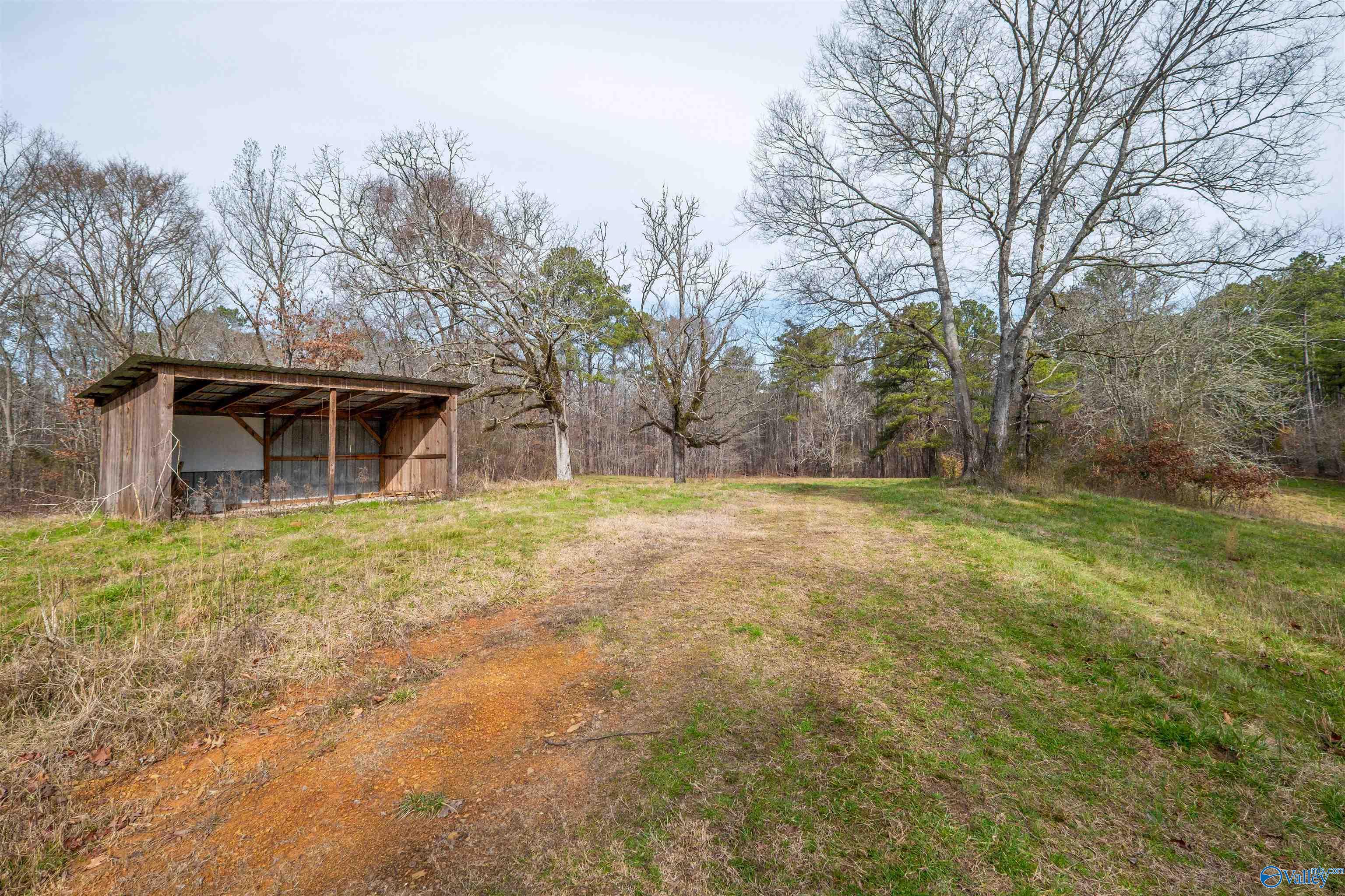 329 +/- Acres Ragan Chapel Road, Ohatchee, Alabama image 17