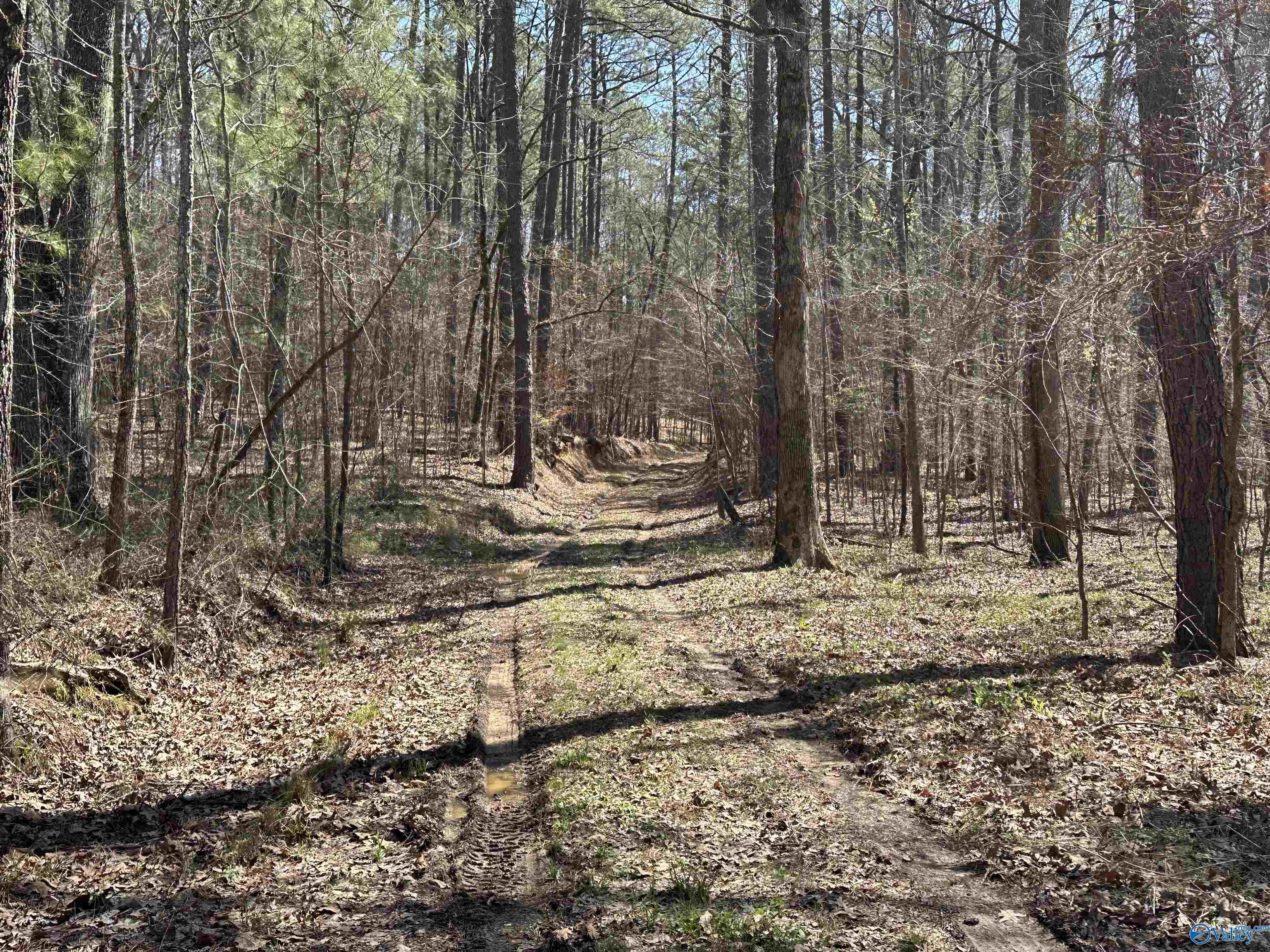 329 +/- Acres Ragan Chapel Road, Ohatchee, Alabama image 32