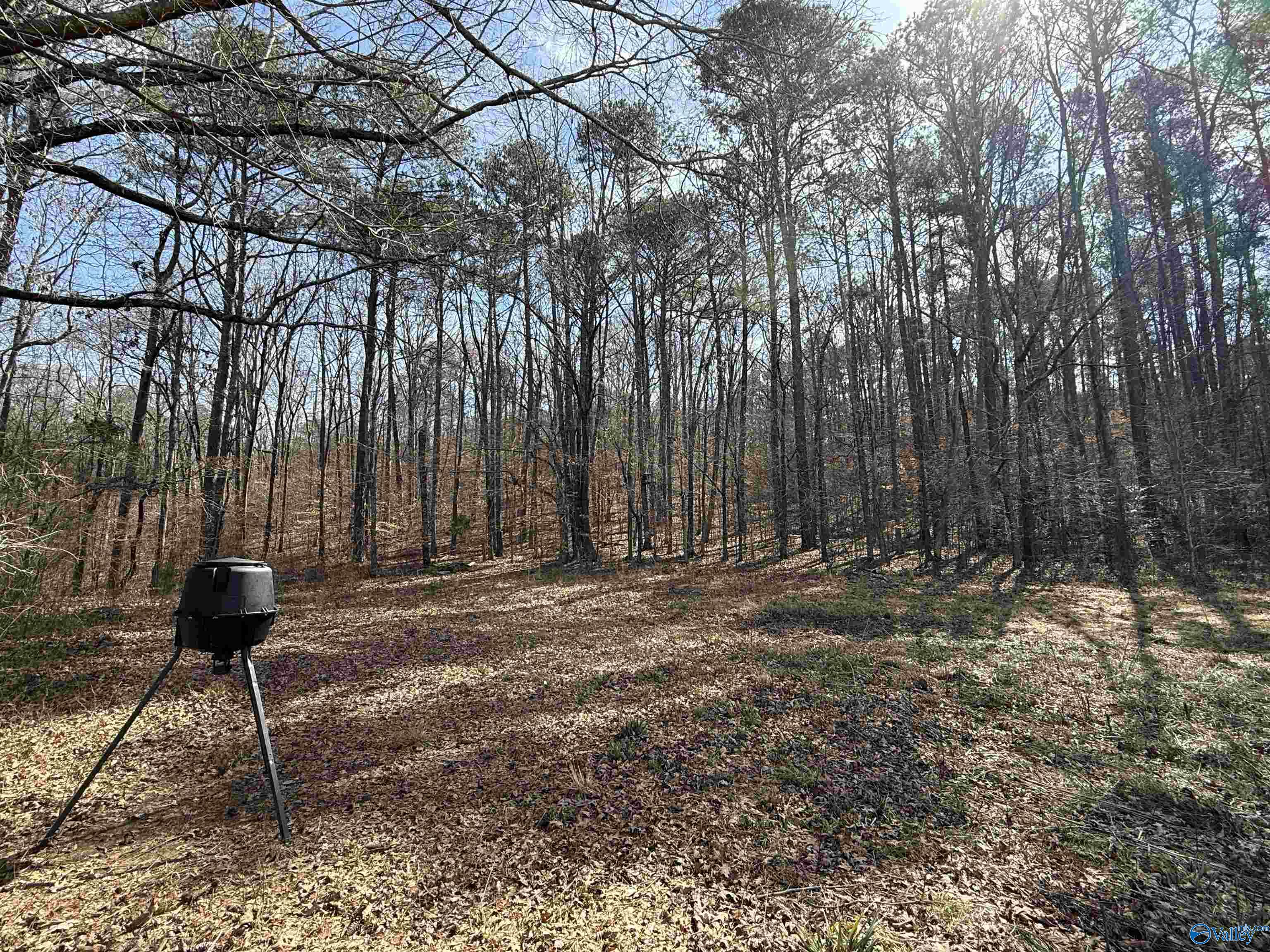 329 +/- Acres Ragan Chapel Road, Ohatchee, Alabama image 19