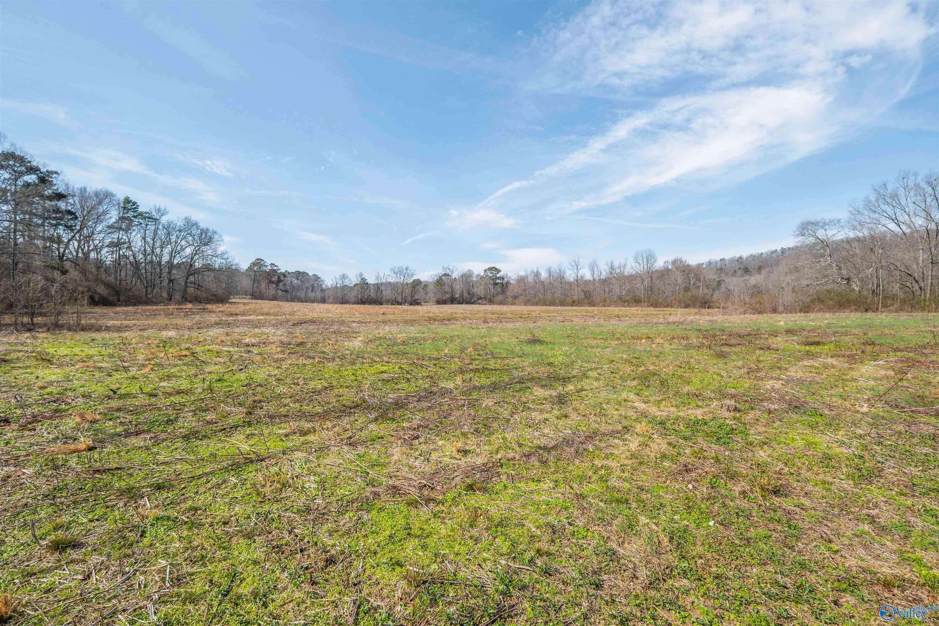 329 +/- Acres Ragan Chapel Road, Ohatchee, Alabama image 8