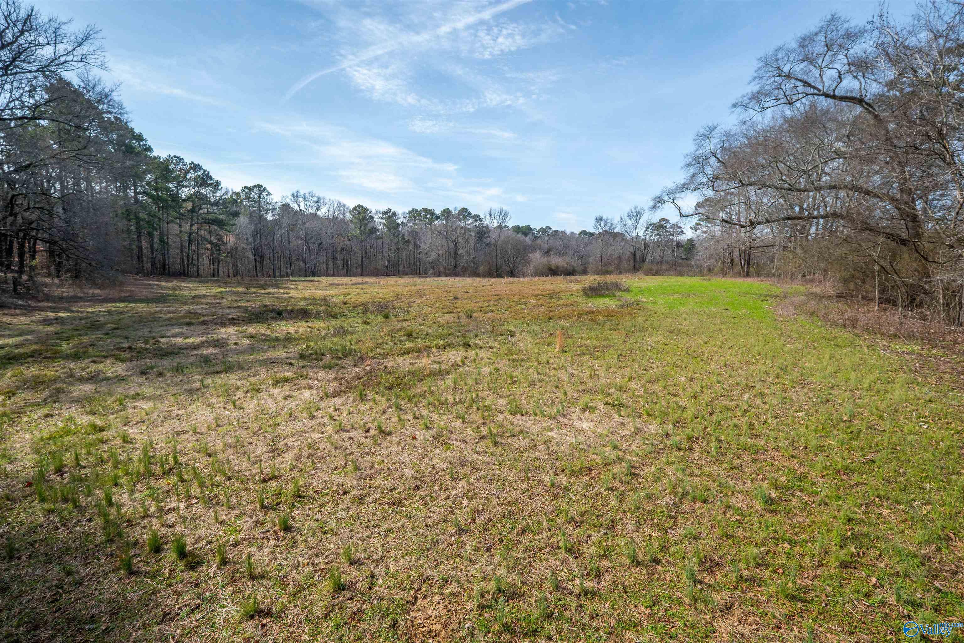 329 +/- Acres Ragan Chapel Road, Ohatchee, Alabama image 37