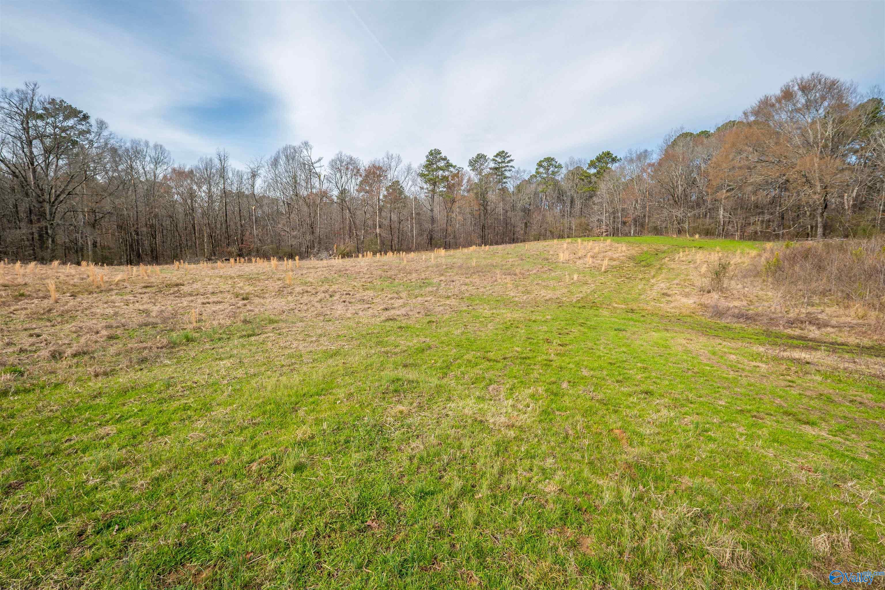 329 +/- Acres Ragan Chapel Road, Ohatchee, Alabama image 25