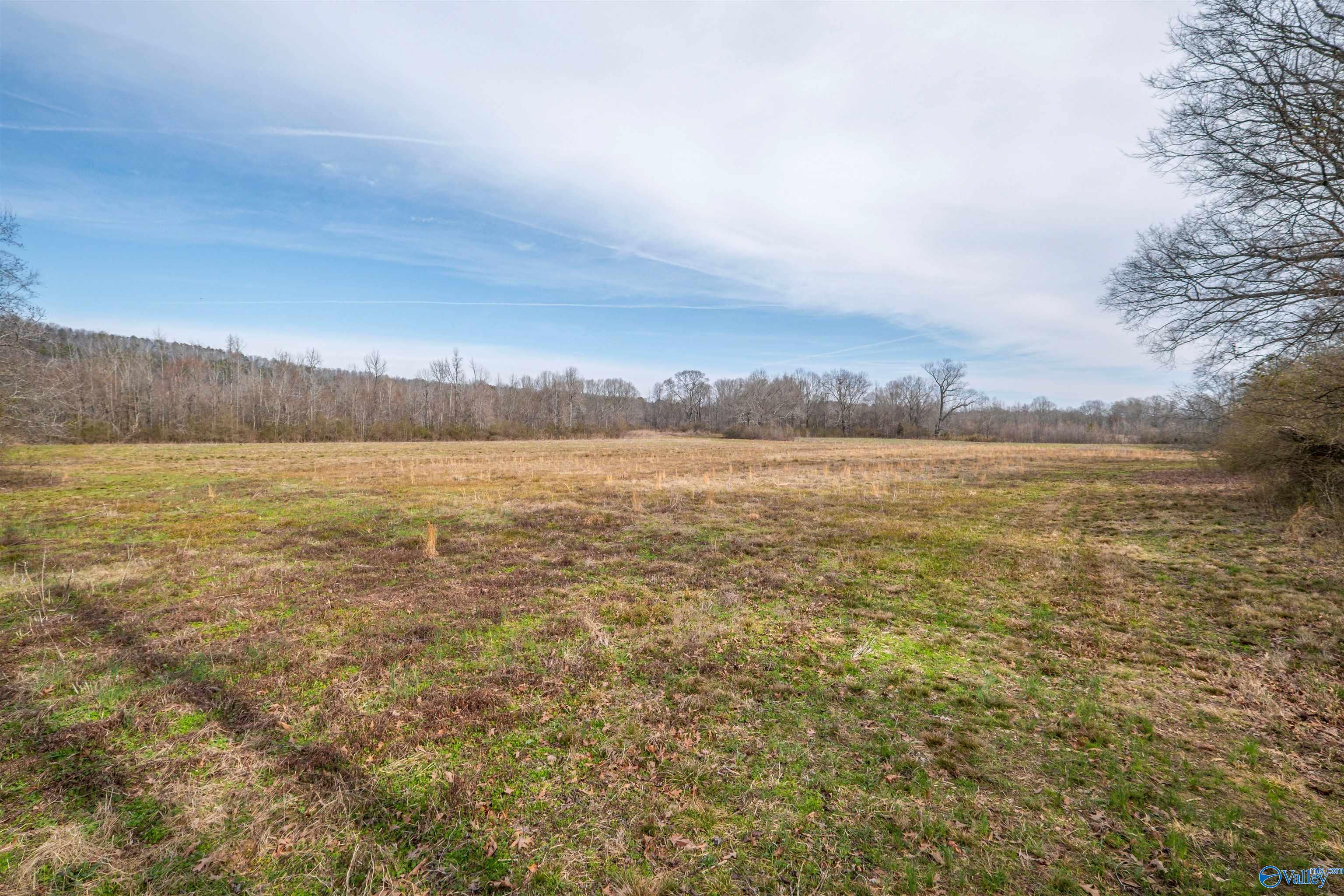 329 +/- Acres Ragan Chapel Road, Ohatchee, Alabama image 36