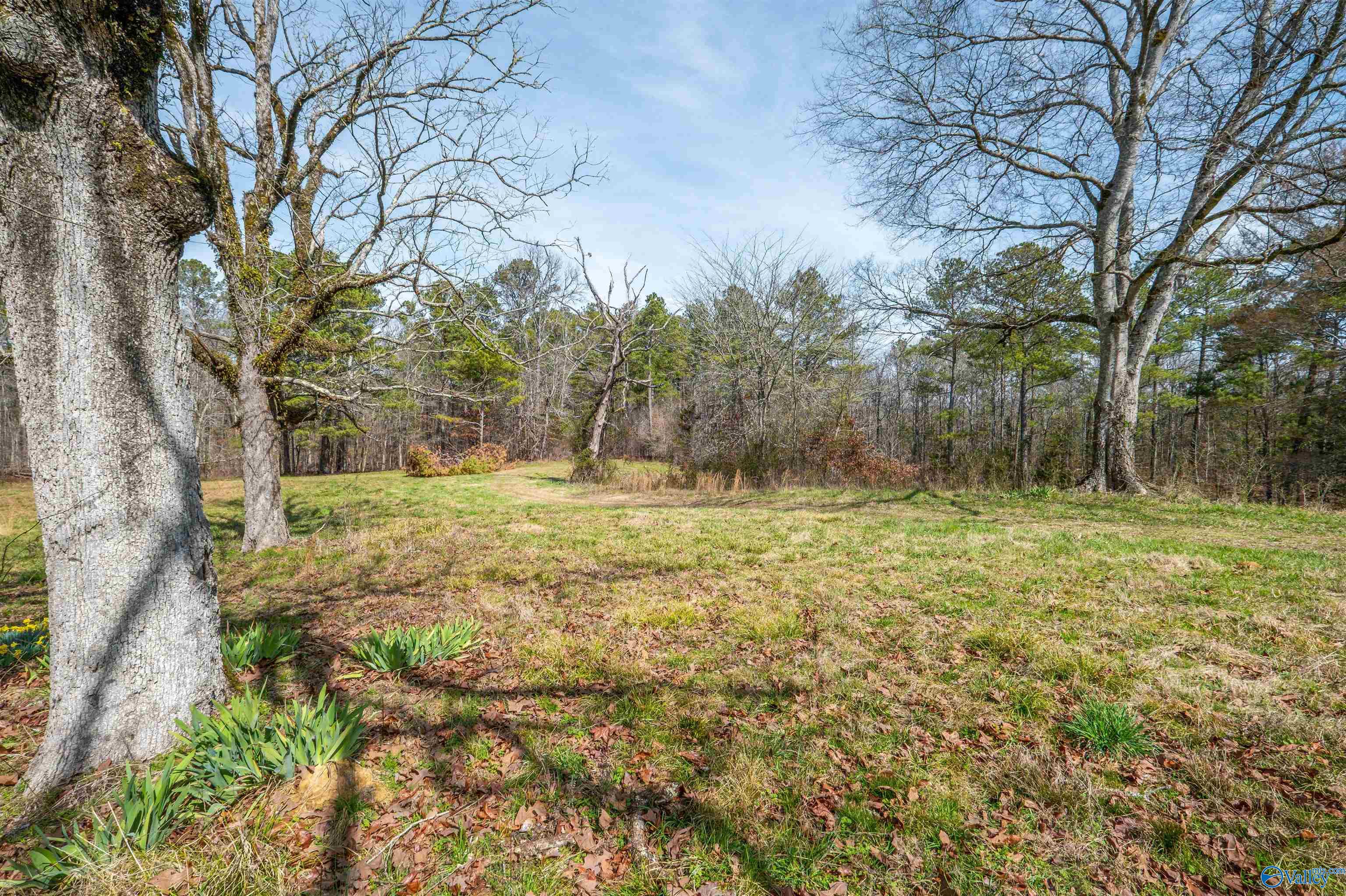 329 +/- Acres Ragan Chapel Road, Ohatchee, Alabama image 18