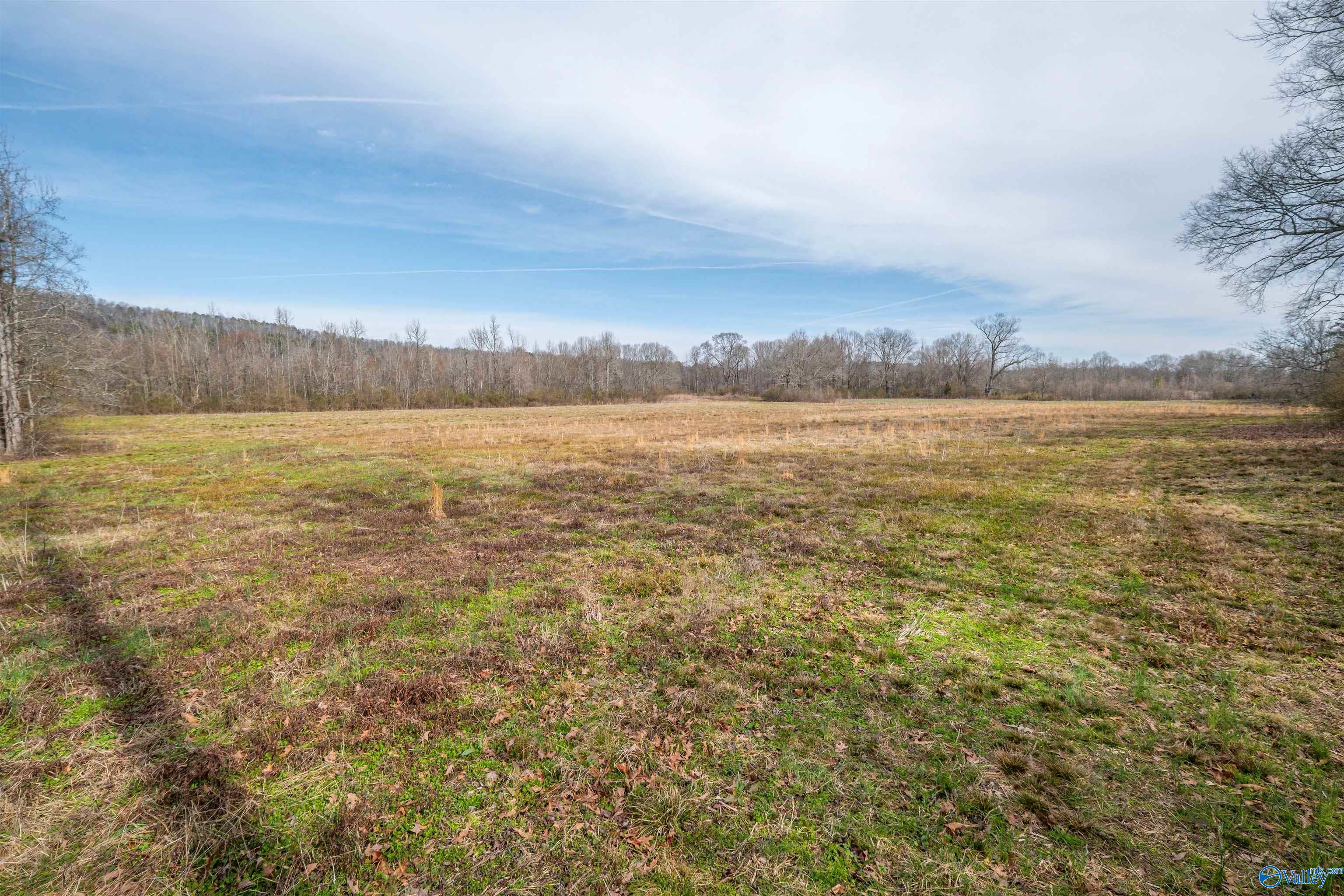 329 +/- Acres Ragan Chapel Road, Ohatchee, Alabama image 31