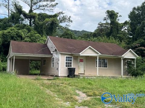Homes For Sale - 1615 Sanders Avenue<br/> Fort Payne, AL 35967