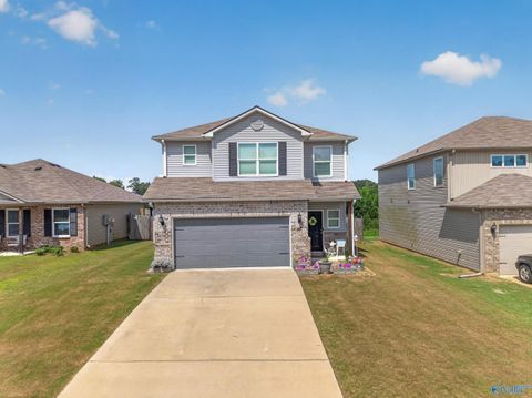 Homes For Sale - 375 Americana Drive<br/> Odenville, AL 35120