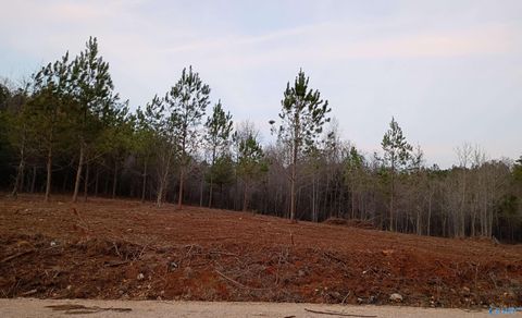 Tract 2 County Road 176 Piedmont AL 36272