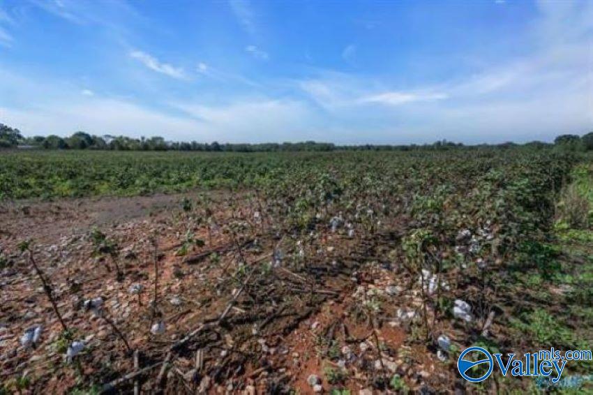 6 Acres Stephens Road, Hazel Green, Alabama image 5