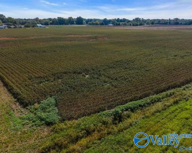 6 Acres Stephens Road, Hazel Green, Alabama image 4