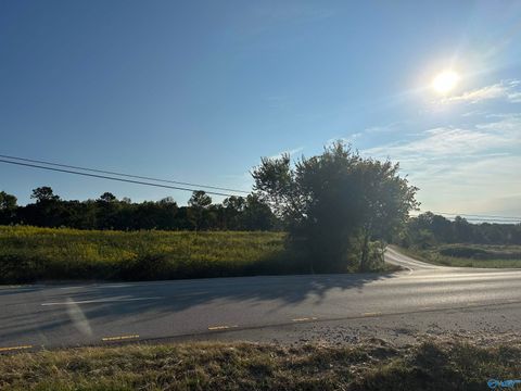 Vacant Land For Sale - 2 ACRES +/- Highway 231<br/> Laceys Spring, AL 35754