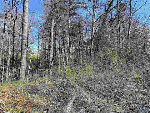 Vacant Land For Sale - A LOT 9 Cardinal Drive<br/> Guntersville, AL 35976