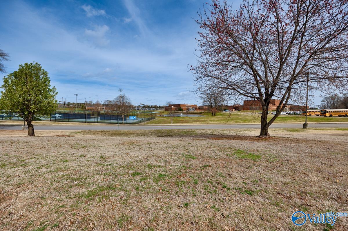 130 Mattie Court, Madison, Alabama image 48