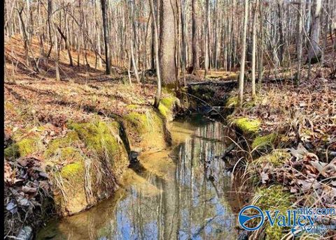 Vacant Land For Sale - 5939 Valley Way<br/> Trussville, AL 35173