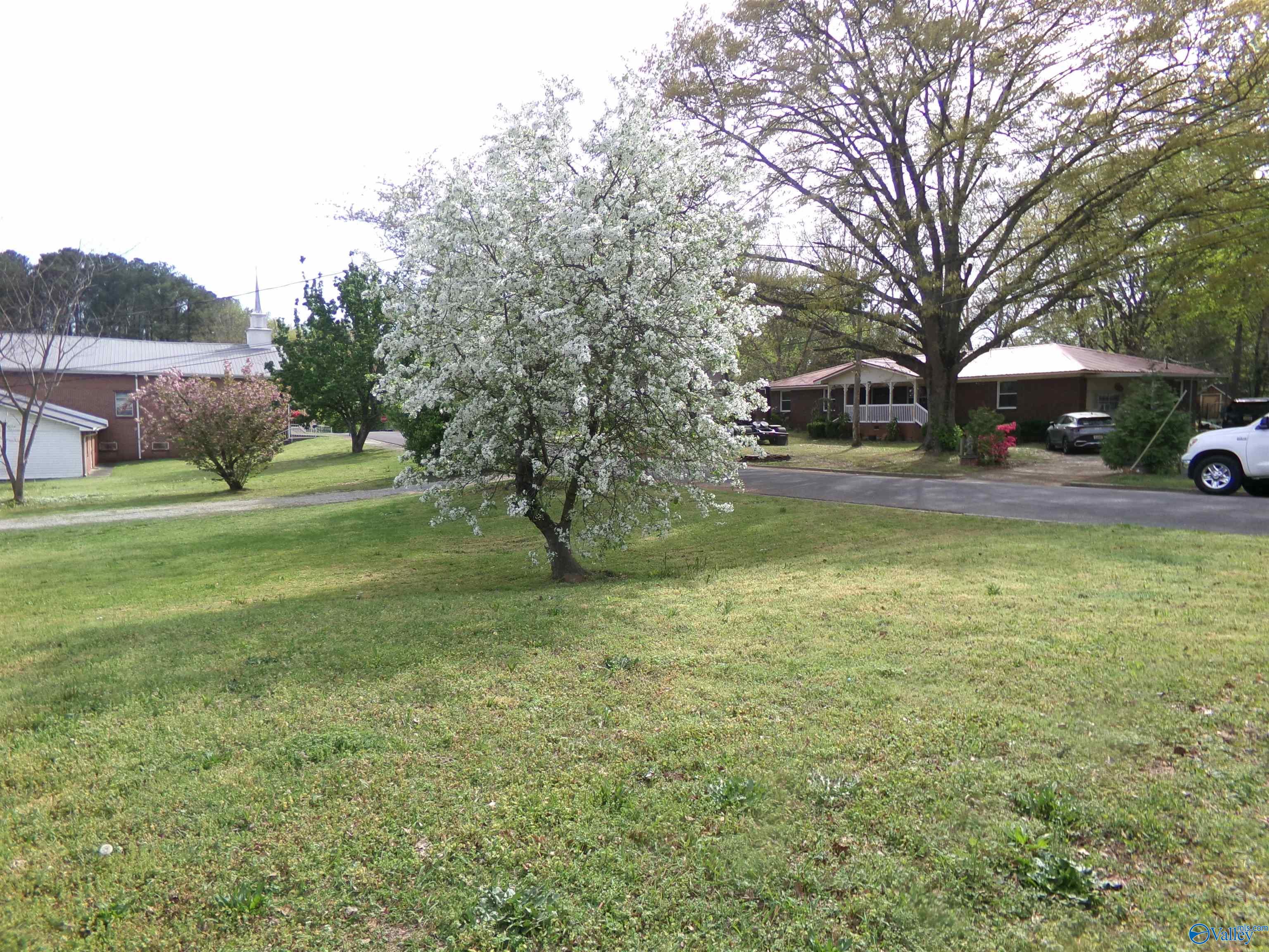 908 Odell Avenue, Gadsden, Alabama image 3