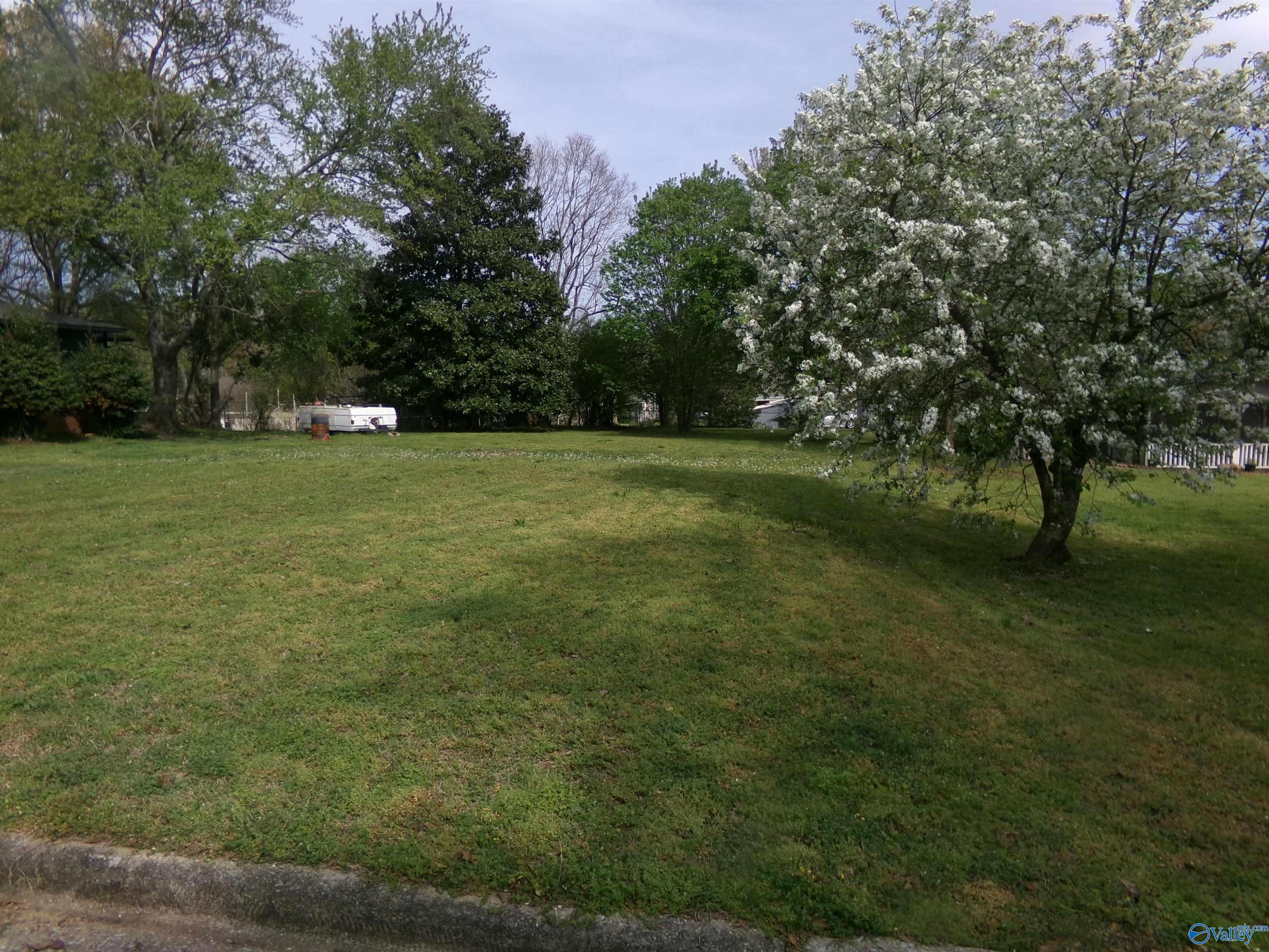 908 Odell Avenue, Gadsden, Alabama image 1