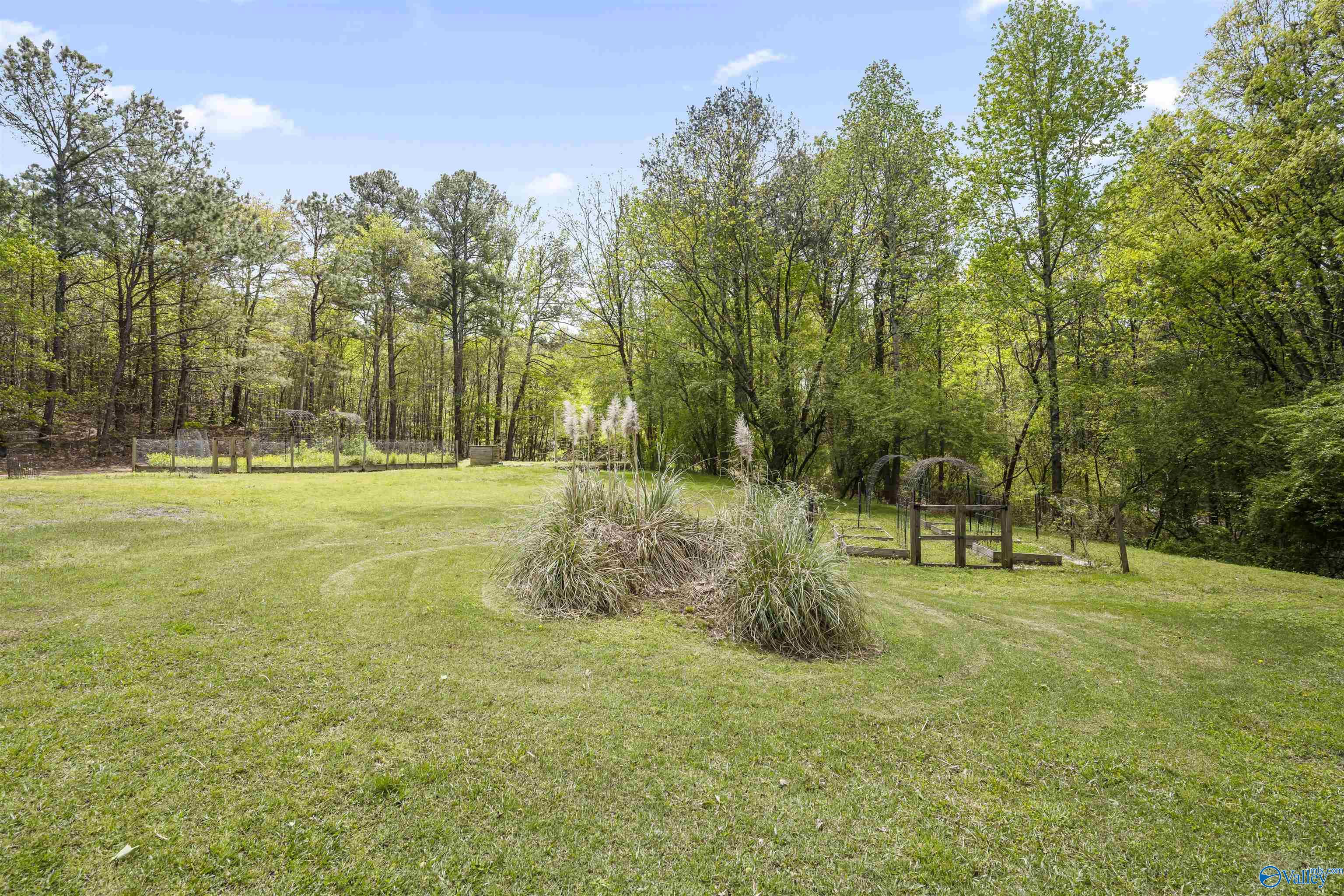 170 County Road 897, Cullman, Alabama image 20