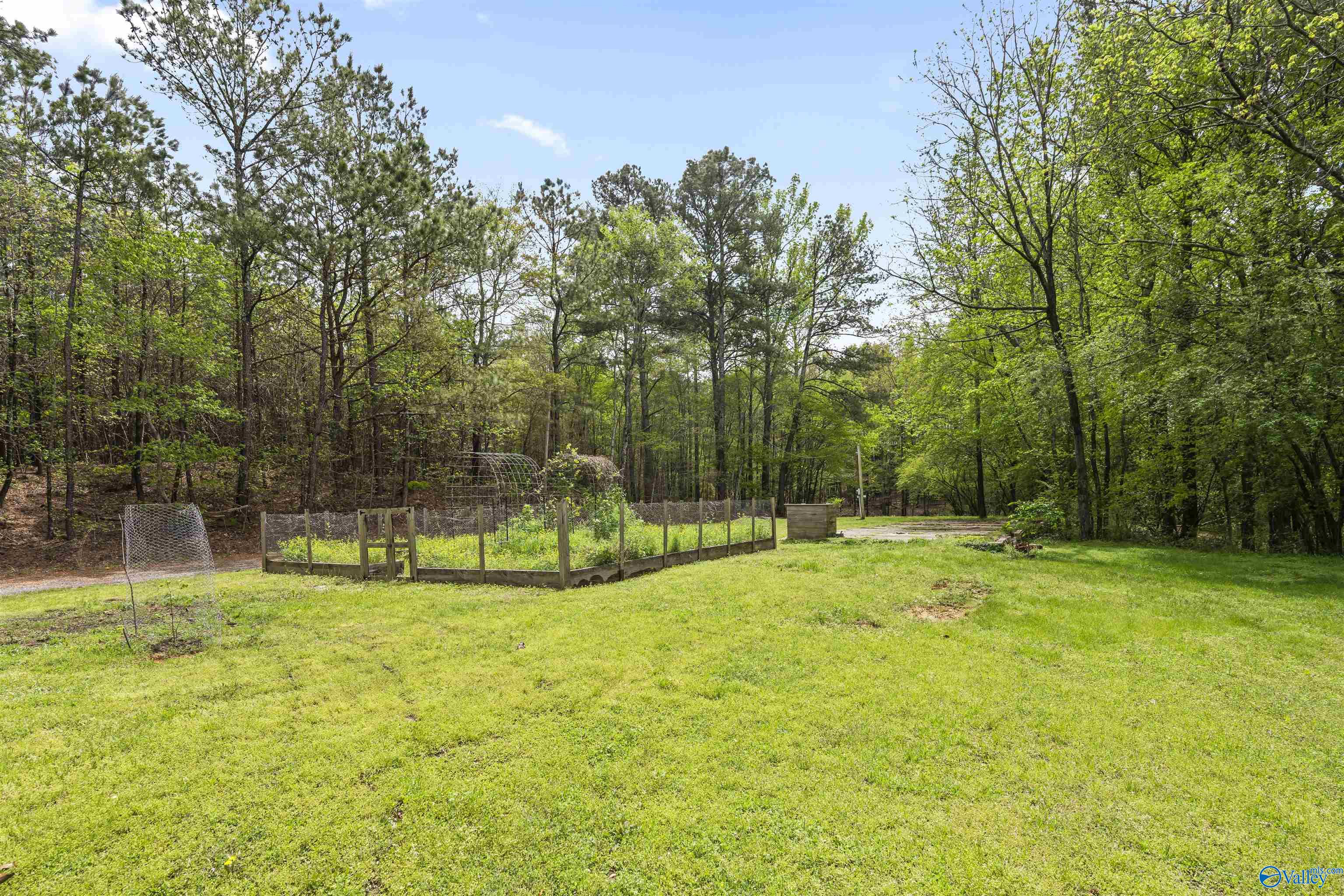 170 County Road 897, Cullman, Alabama image 21