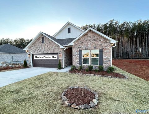12576 Tallulah Drive Madison AL 35756
