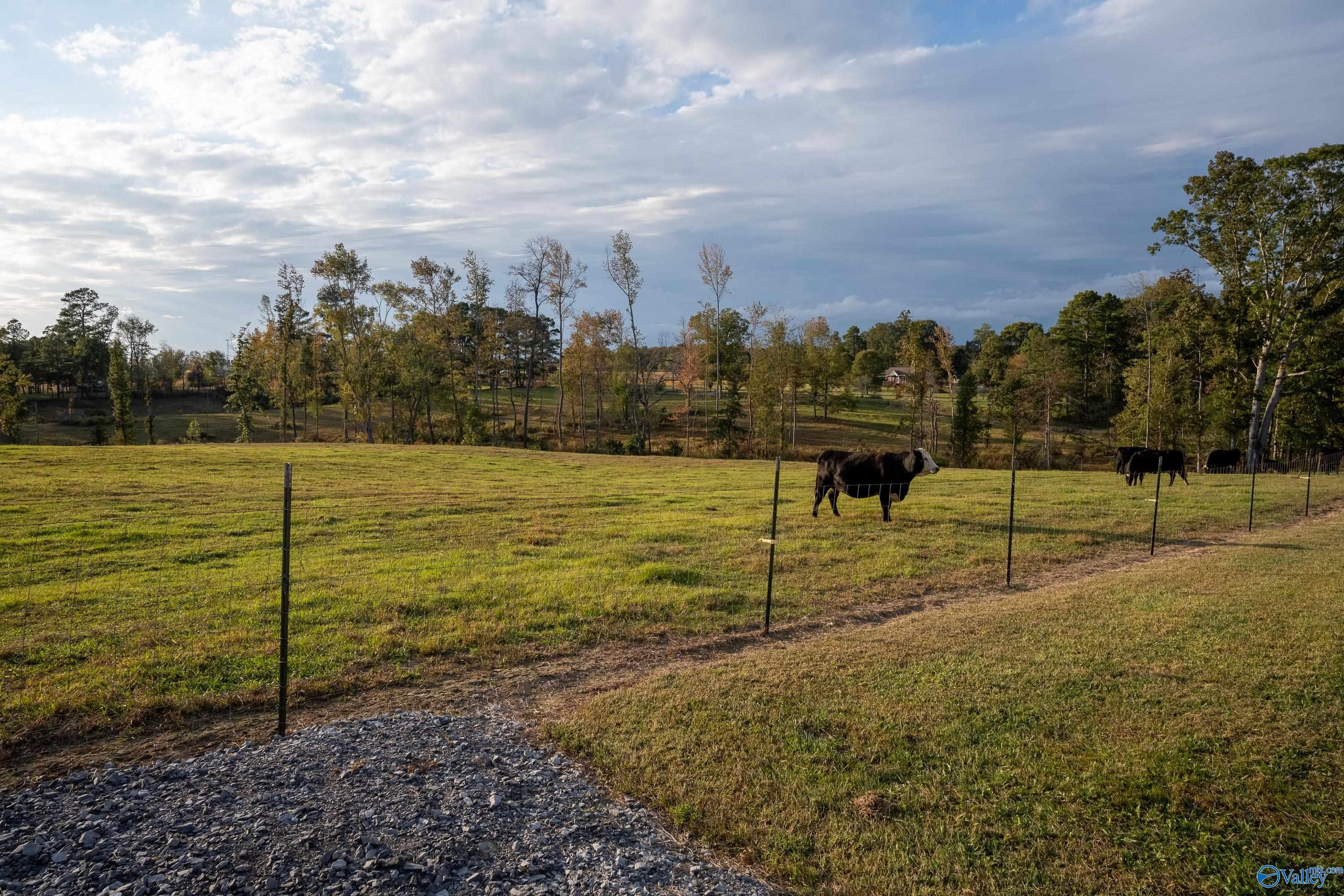 291 Lacy Road, Henagar, Alabama image 8