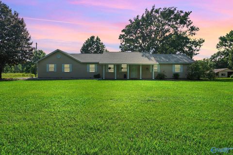 Homes For Sale - 51 Collins Place Pvt Drive<br/> Danville, AL 35619