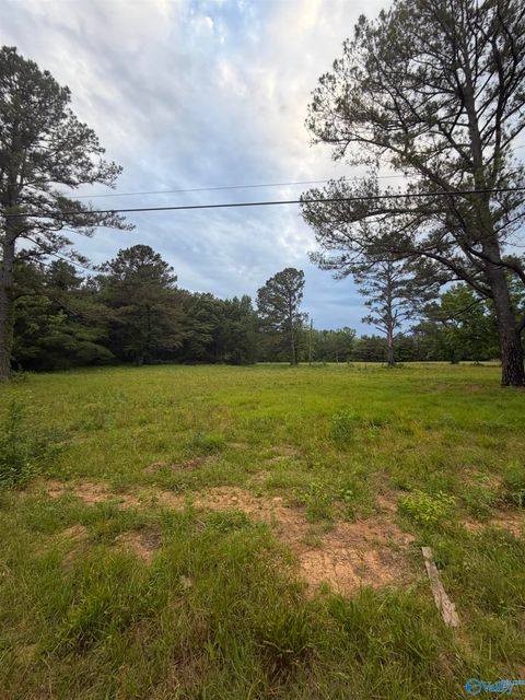 Vacant Land For Sale - 520 Alabama Highway 13<br/> Fayette County, Berry, AL 35546