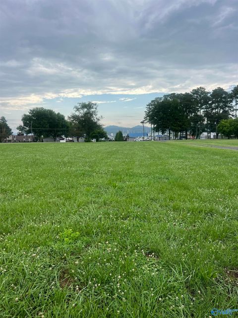 Vacant Land For Sale - LOT 7 Browns Creek Road<br/> Guntersville, AL 35976