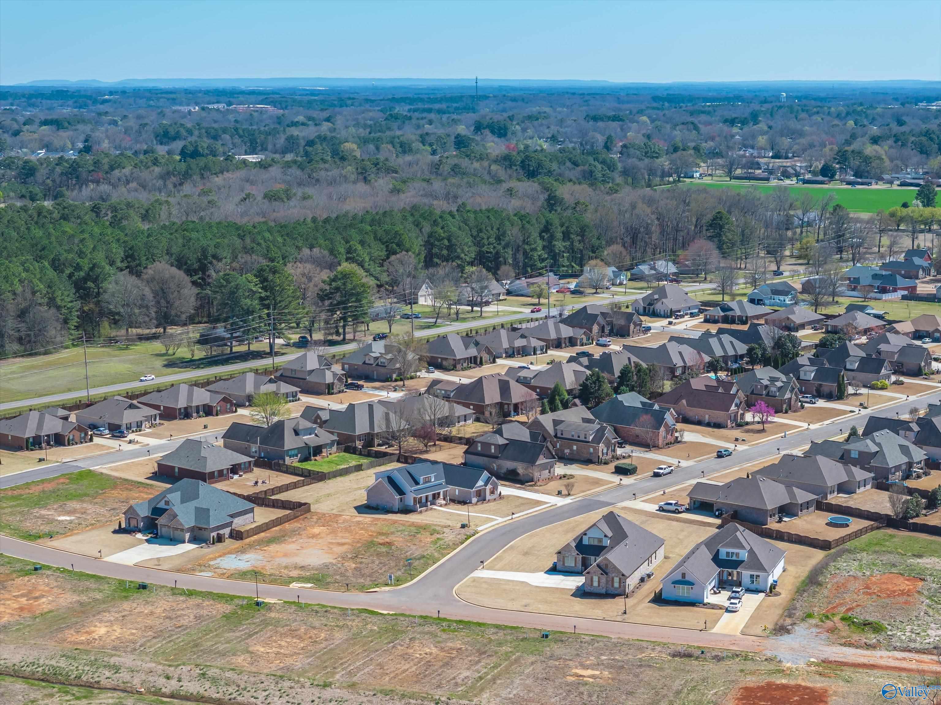 17558 Windermere Drive, Athens, Alabama image 33