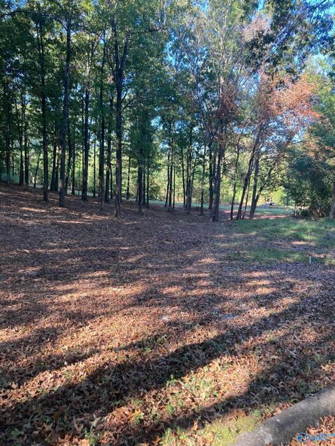 Vacant Land For Sale - 5 Eagles Fair<br/> Gadsden, AL 35905