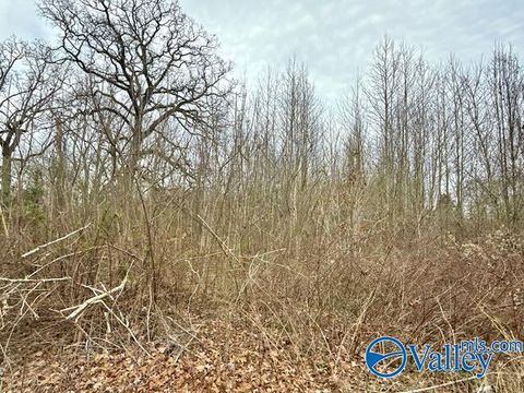 Vacant Land For Sale - 3795 Elkwood Section Road<br/> Toney, AL 35773