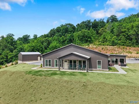Homes For Sale - 6269 Scottsboro Hwy<br/> Scottsboro, AL 35769