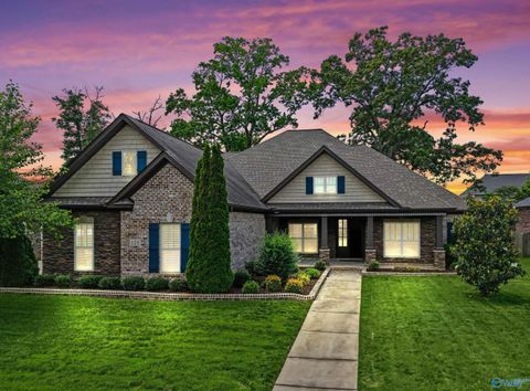 Photo of 128 Sage Oak Lane, Madison, AL 35758 (MLS # 21919453)