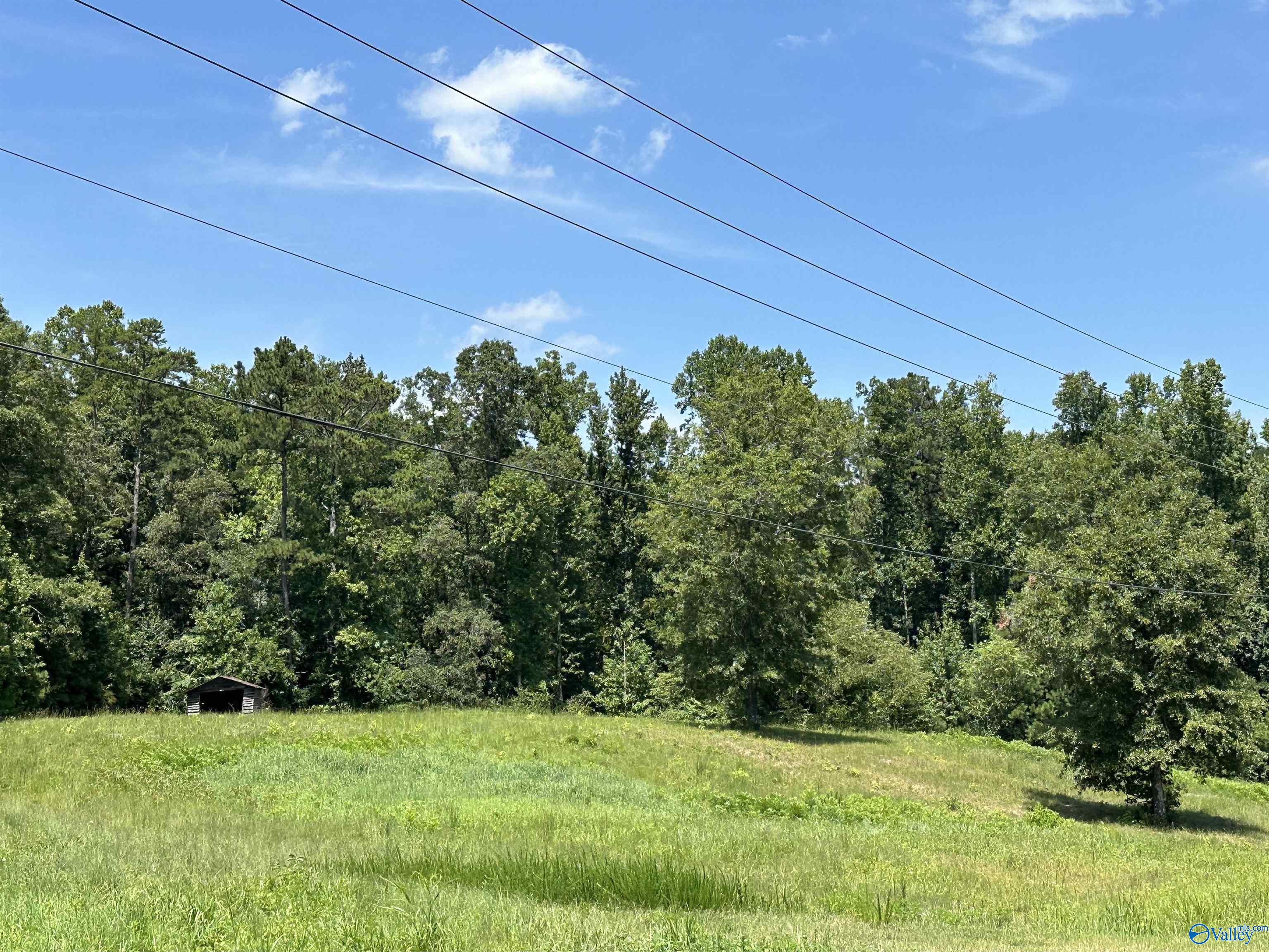 1.8 Acres +/- Tabor Road, Gadsden, Alabama image 4