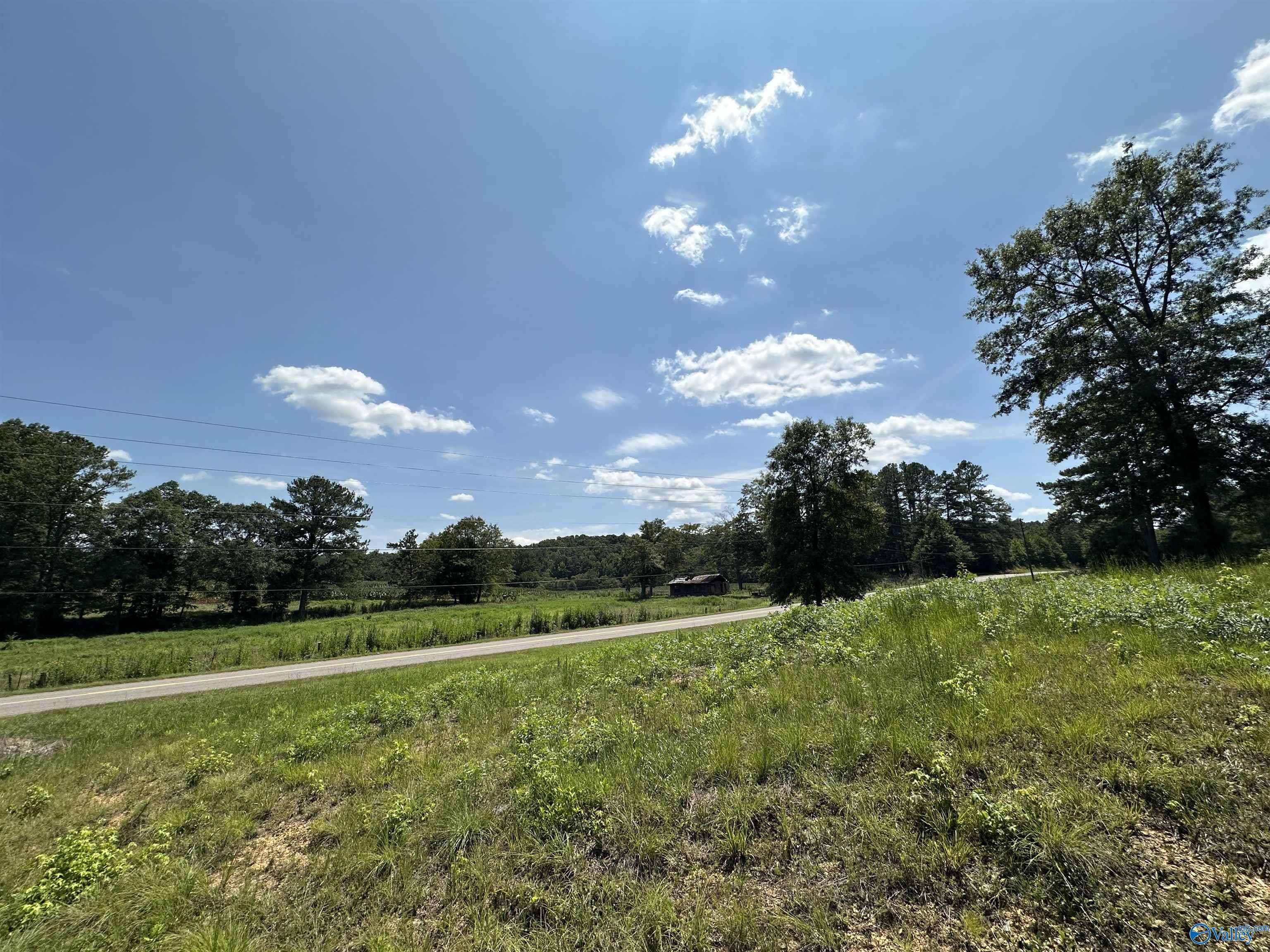 1.8 Acres +/- Tabor Road, Gadsden, Alabama image 6