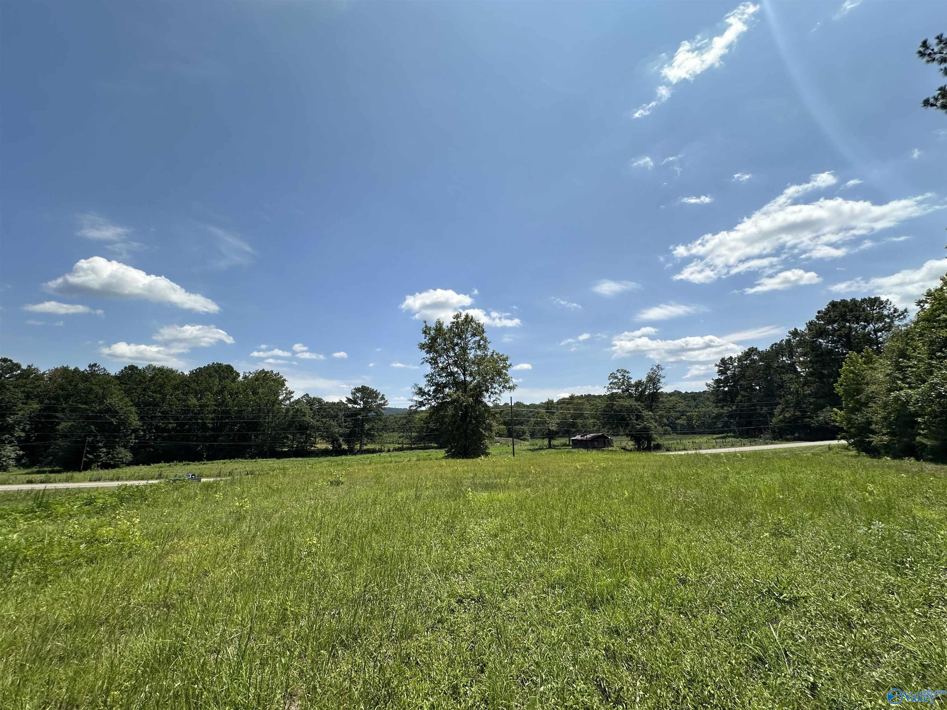 1.8 Acres +/- Tabor Road, Gadsden, Alabama image 2