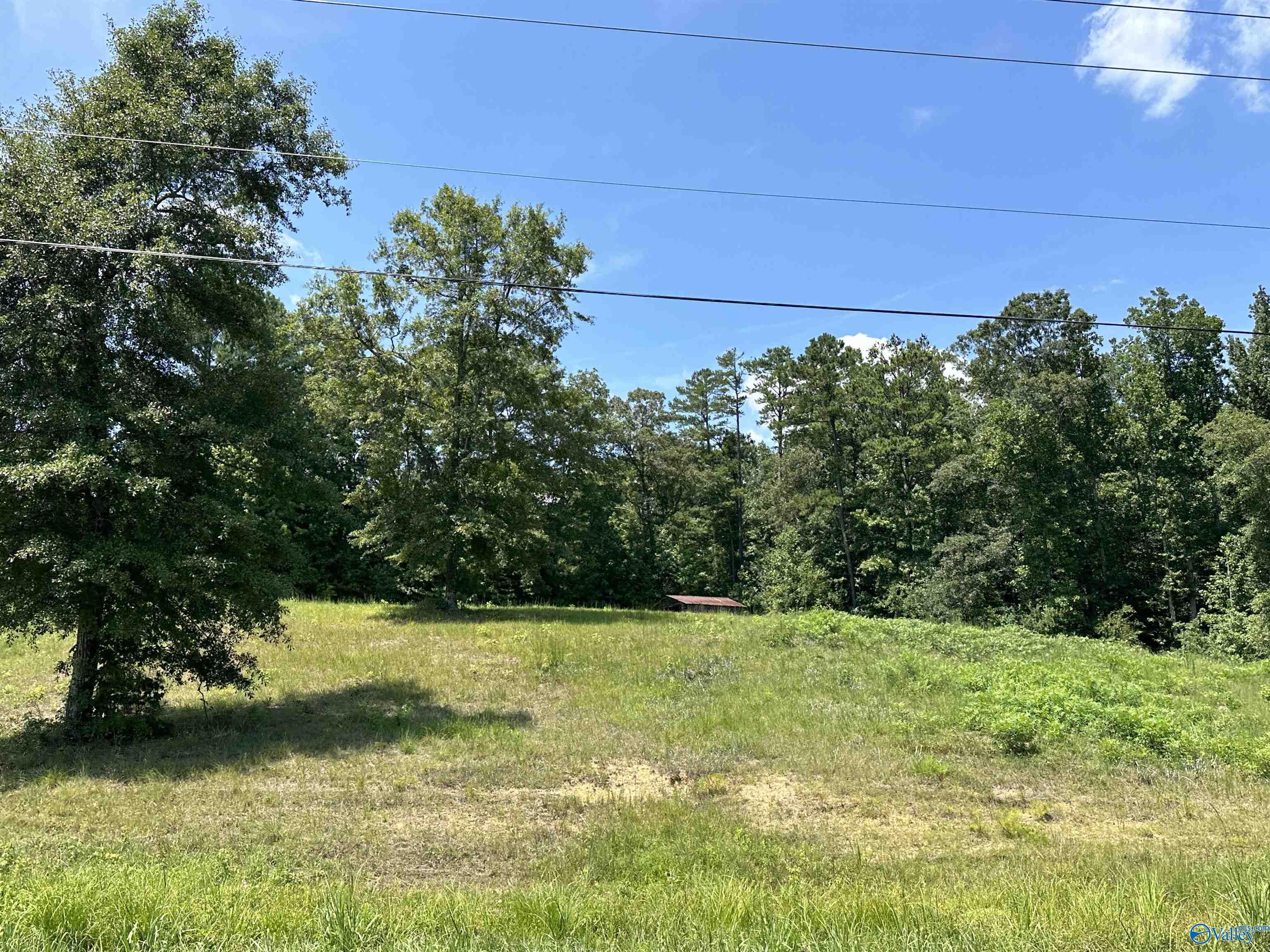 1.8 Acres +/- Tabor Road, Gadsden, Alabama image 5